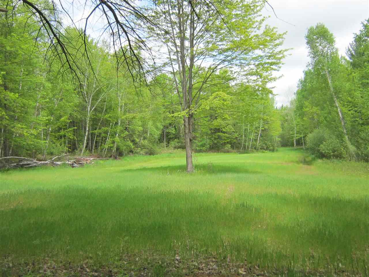 2900 Bass Lake Road Lupton, MI 48635 - Photo 11 of 86 1887746-10.JPG