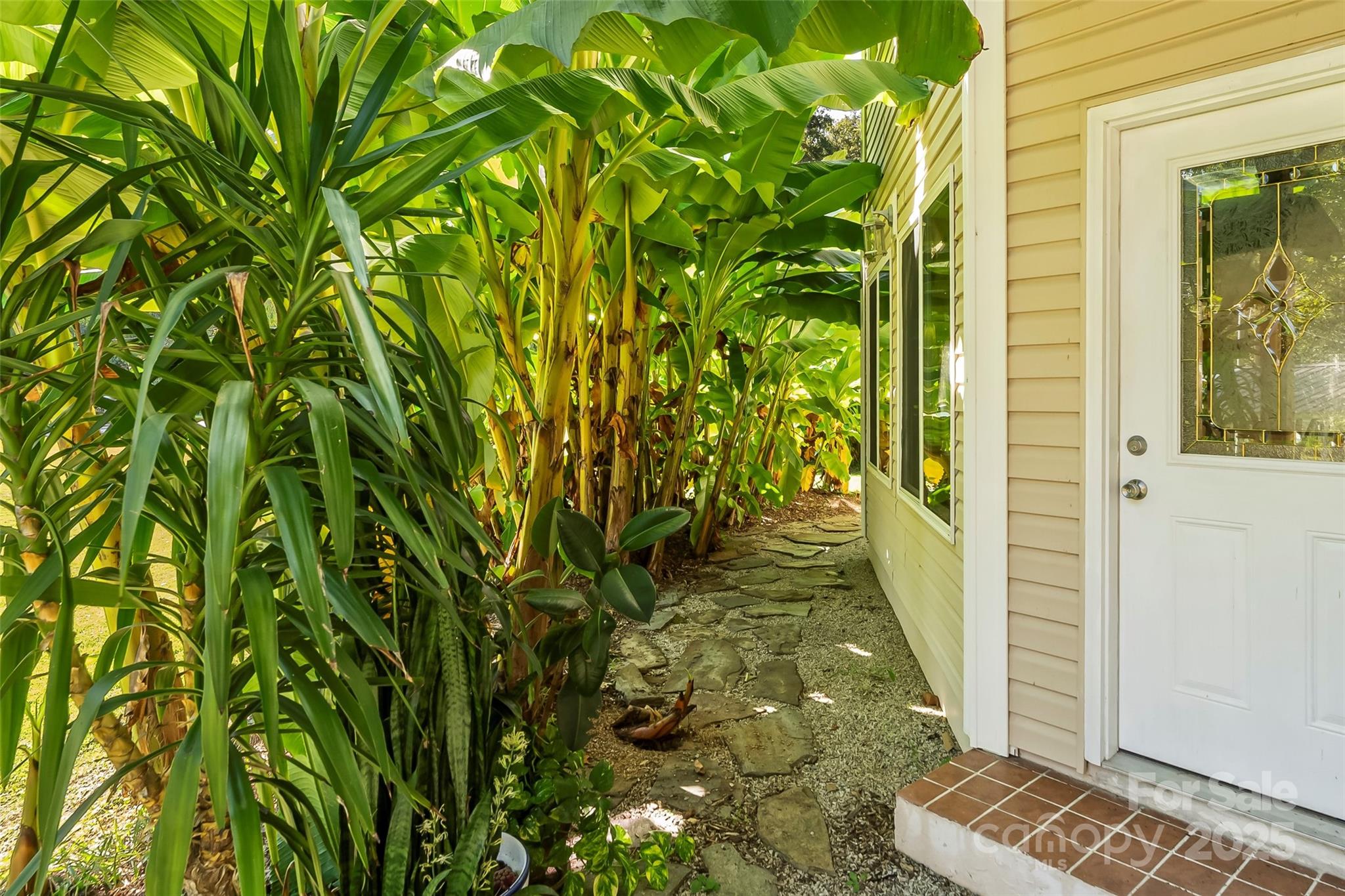 214 Locust Cove Road Marion, NC 28752 - Photo 15 of 47 a view of a potted plant next to a shower