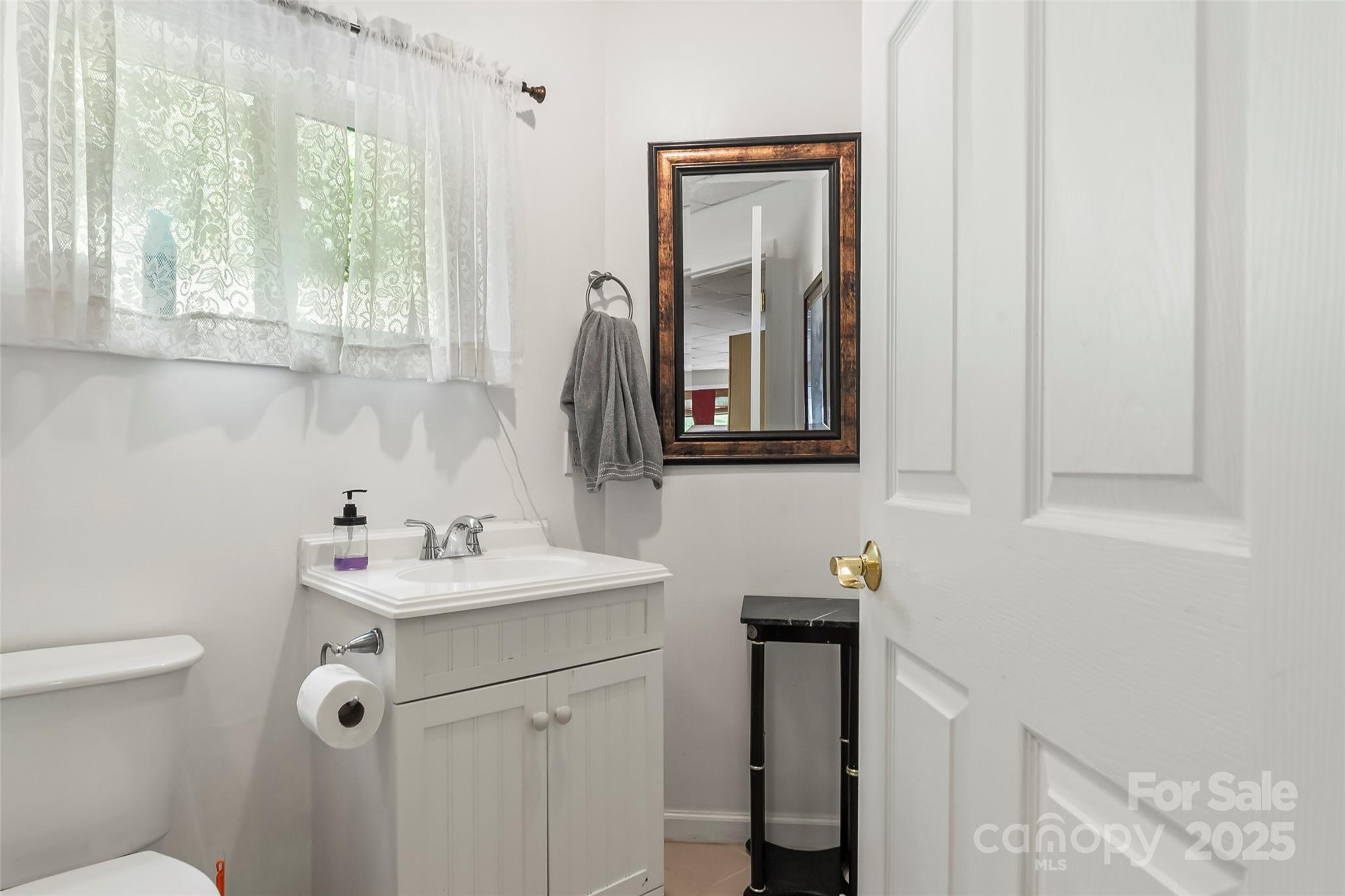 214 Locust Cove Road Marion, NC 28752 - Photo 25 of 47 a bathroom with a sink toilet and mirror