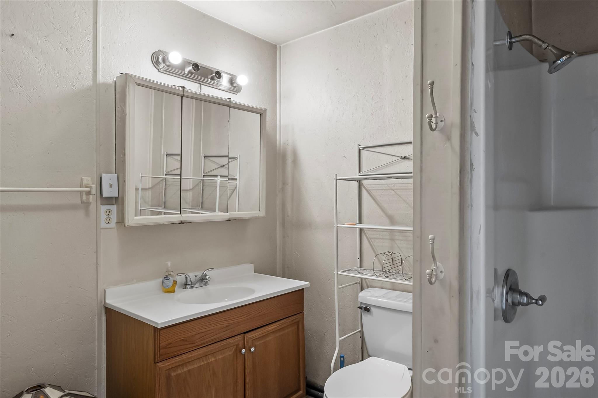214 Locust Cove Road Marion, NC 28752 - Photo 46 of 47 a bathroom with a toilet a sink and mirror