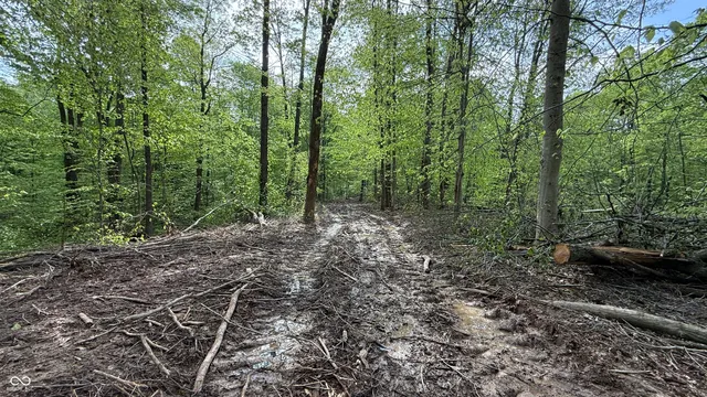 $699,900 | 6 Fiscus Cemetery Road, Coal City, IN 47427