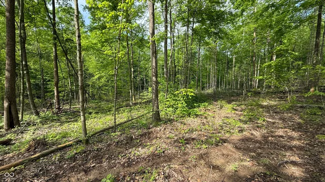 $699,900 | 6 Fiscus Cemetery Road, Coal City, IN 47427