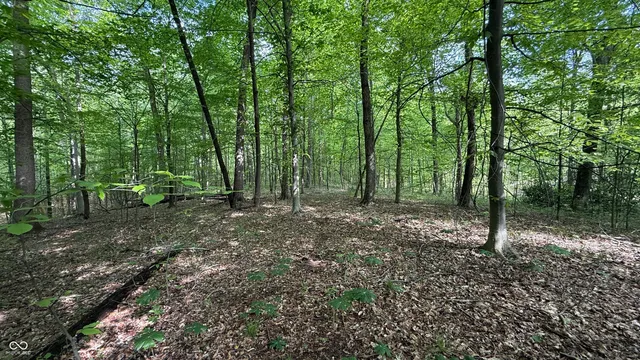 $699,900 | 6 Fiscus Cemetery Road, Coal City, IN 47427