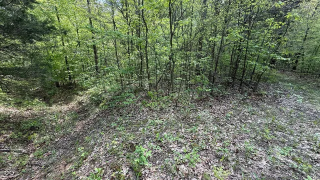 $699,900 | 6 Fiscus Cemetery Road, Coal City, IN 47427