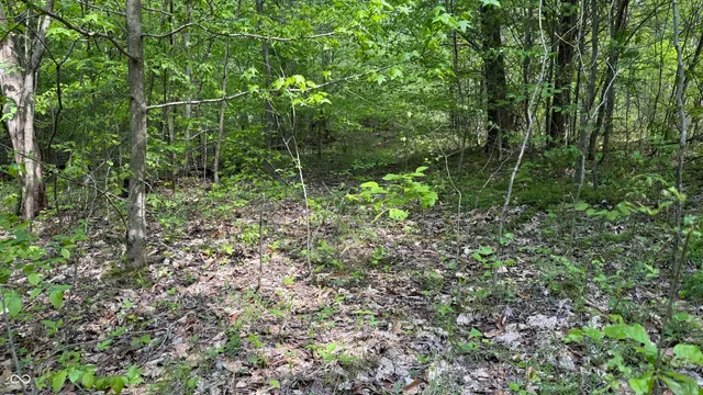 $699,900 | 6 Fiscus Cemetery Road, Coal City, IN 47427