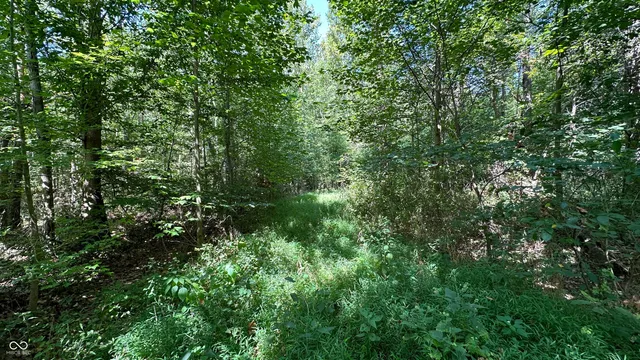 $699,900 | 6 Fiscus Cemetery Road, Coal City, IN 47427