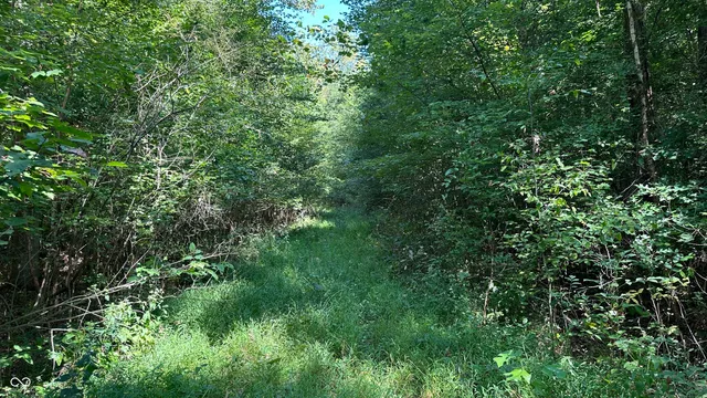 $699,900 | 6 Fiscus Cemetery Road, Coal City, IN 47427