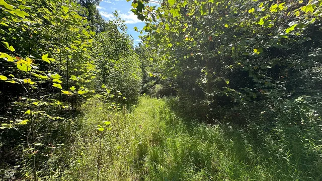 $699,900 | 6 Fiscus Cemetery Road, Coal City, IN 47427