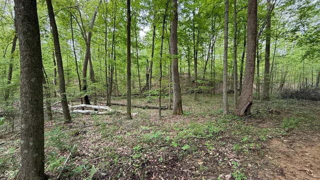 $699,900 | 6 Fiscus Cemetery Road, Coal City, IN 47427