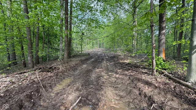 $699,900 | 6 Fiscus Cemetery Road, Coal City, IN 47427