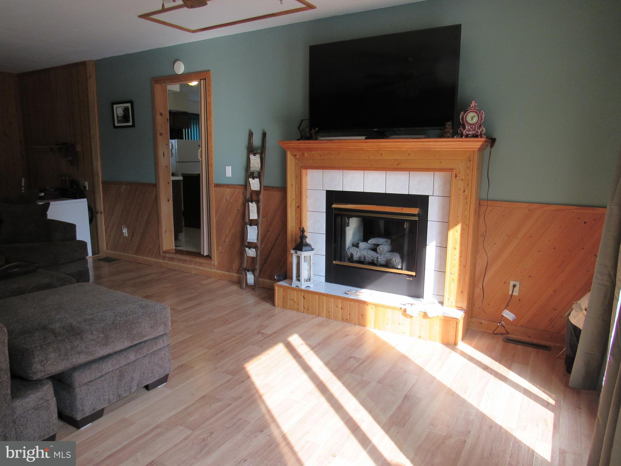 3365 Chambersburg Road Biglerville, PA 17307 - Photo 7 of 40 Family Room Fireplace