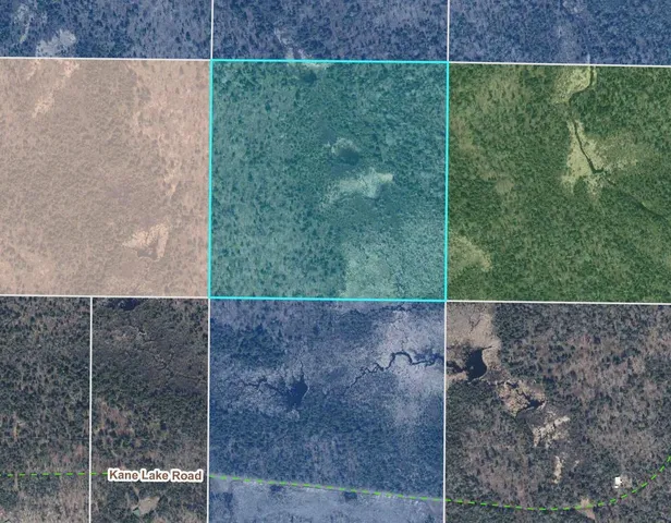 $24,900 | Tbd Kane Lk Road, Two Harbors, MN 55616