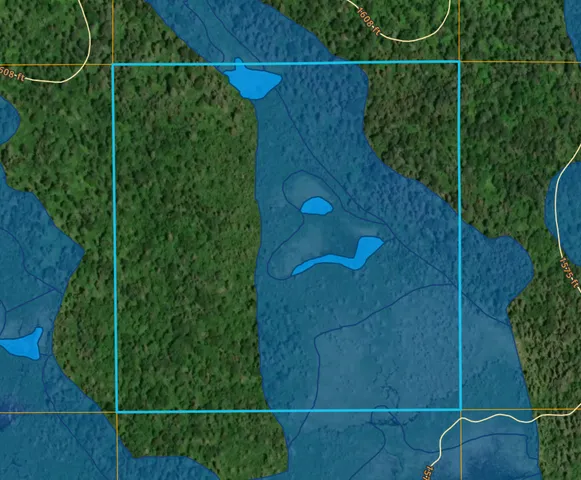 $24,900 | Tbd Kane Lk Road, Two Harbors, MN 55616