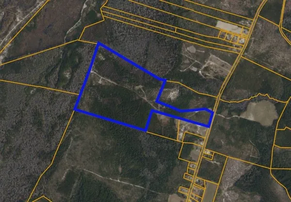 $502,293 | Tbd North Nichols Highway, Nichols, SC 29581
