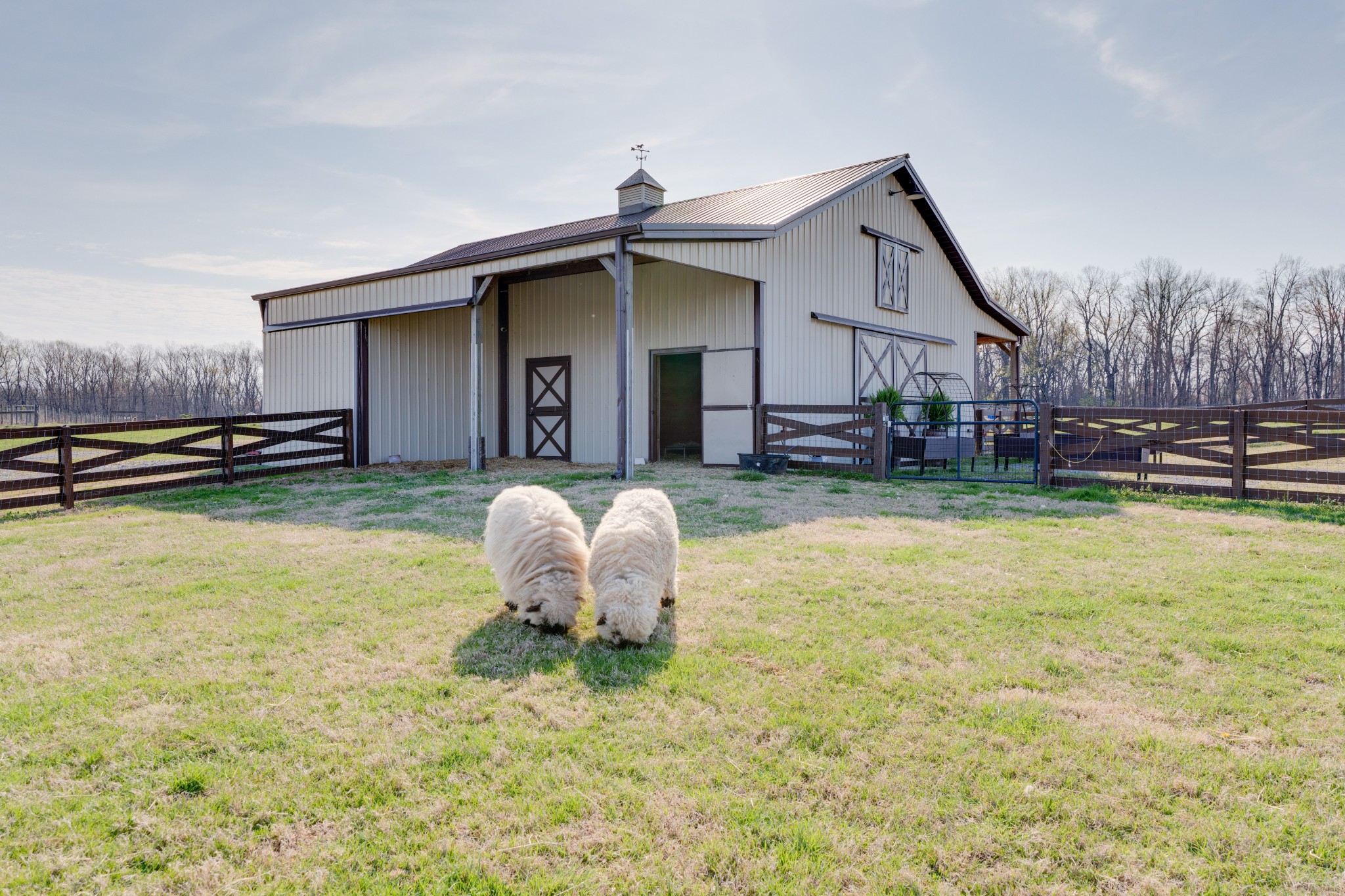 514 Corinth Road Portland, TN 37148 - Photo 4 of 11