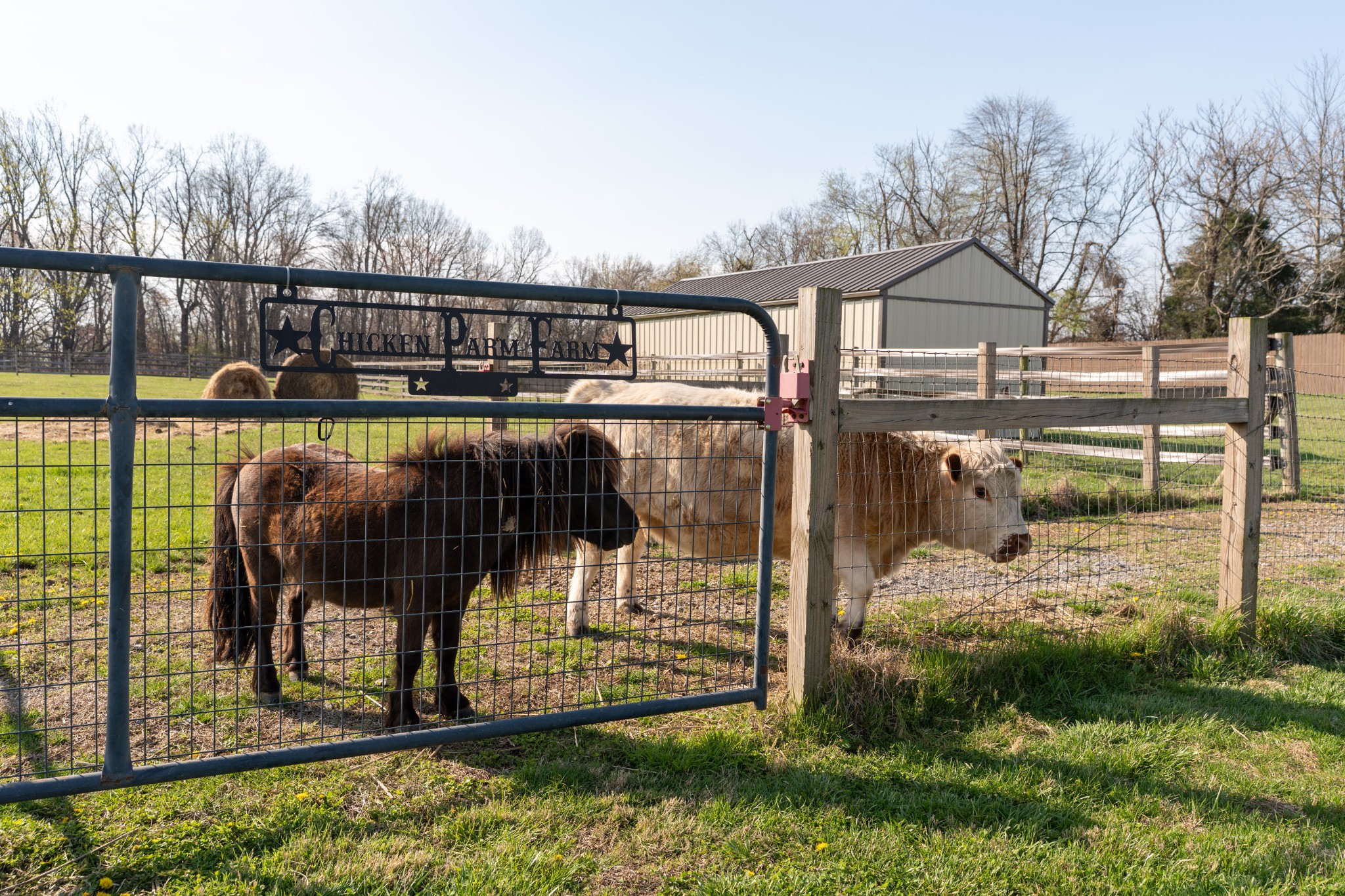 514 Corinth Road Portland, TN 37148 - Photo 59 of 67