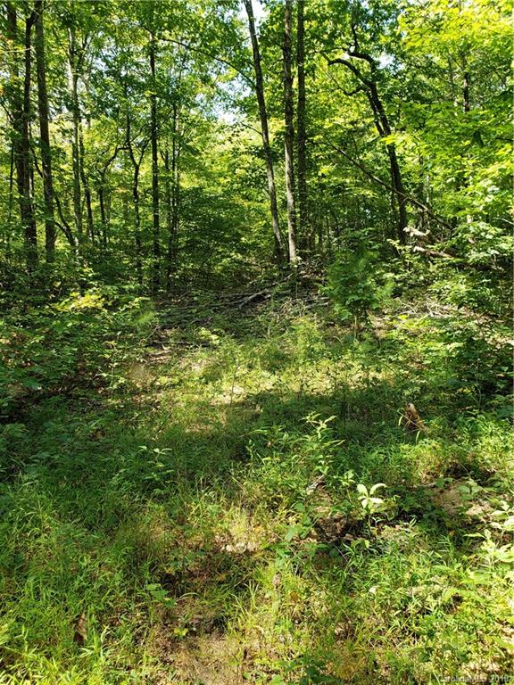 677 Davis Town Road Old Fort, NC 28762 - Photo 2 of 8 a view of a lush green forest