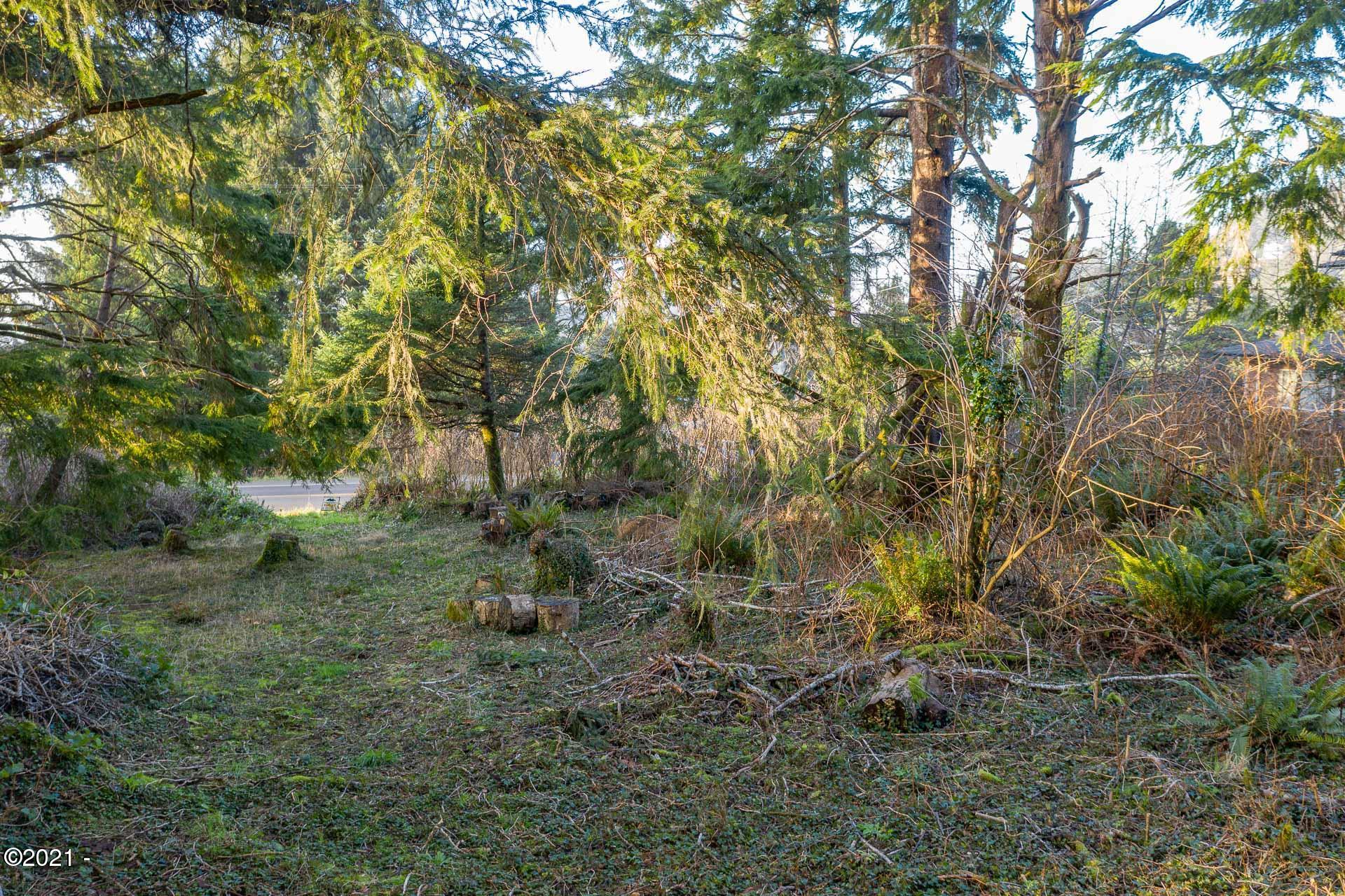 158 Highway 101 Yachats, OR 97498 - Photo 15 of 21 DJI_0400