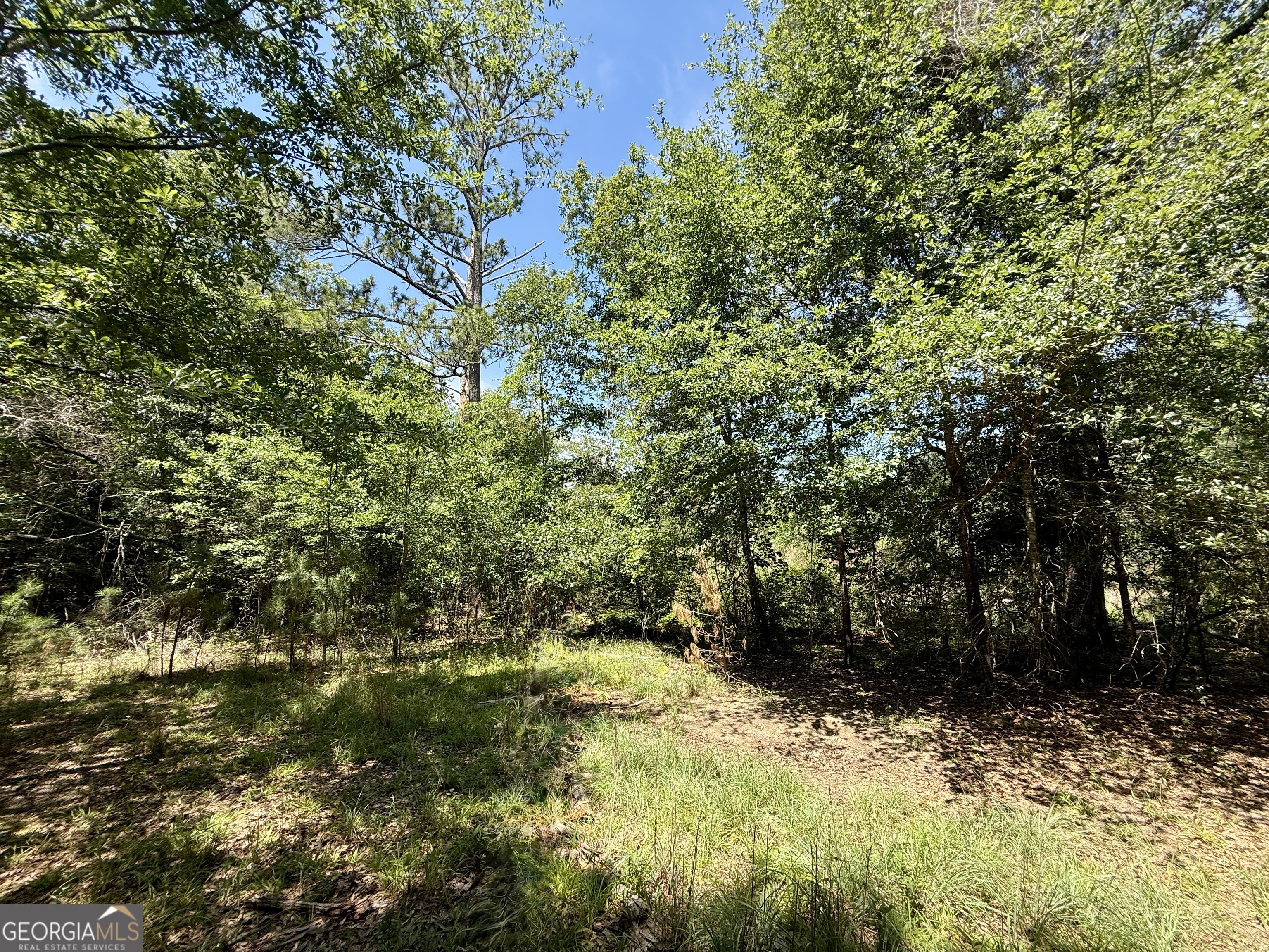14.21-acres Northwest Irwin Bridge Road Northwest Conyers, GA 30012 - Photo 6 of 12