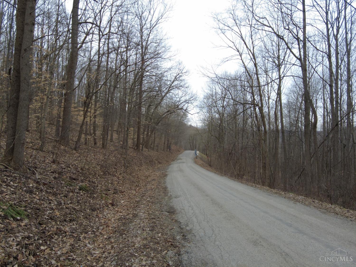 0 Green Ridge Road Peebles, OH 45660 - Photo 3 of 34 Gallery Image 3