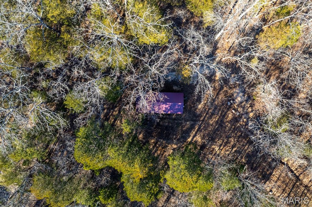 39 Highway Yy Cook Station Cook Sta, MO 65449 - Photo 11 of 22