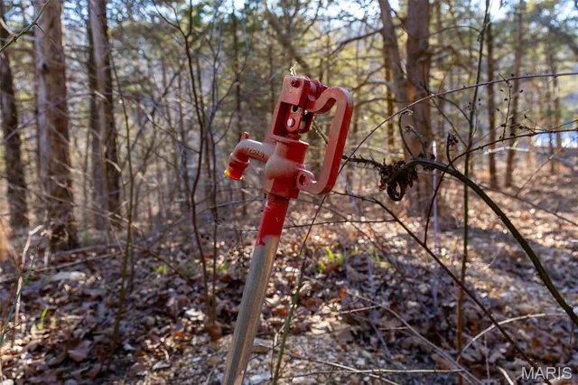 $98,000 | 39 Highway Yy Cook Station, Cook Sta, MO 65449