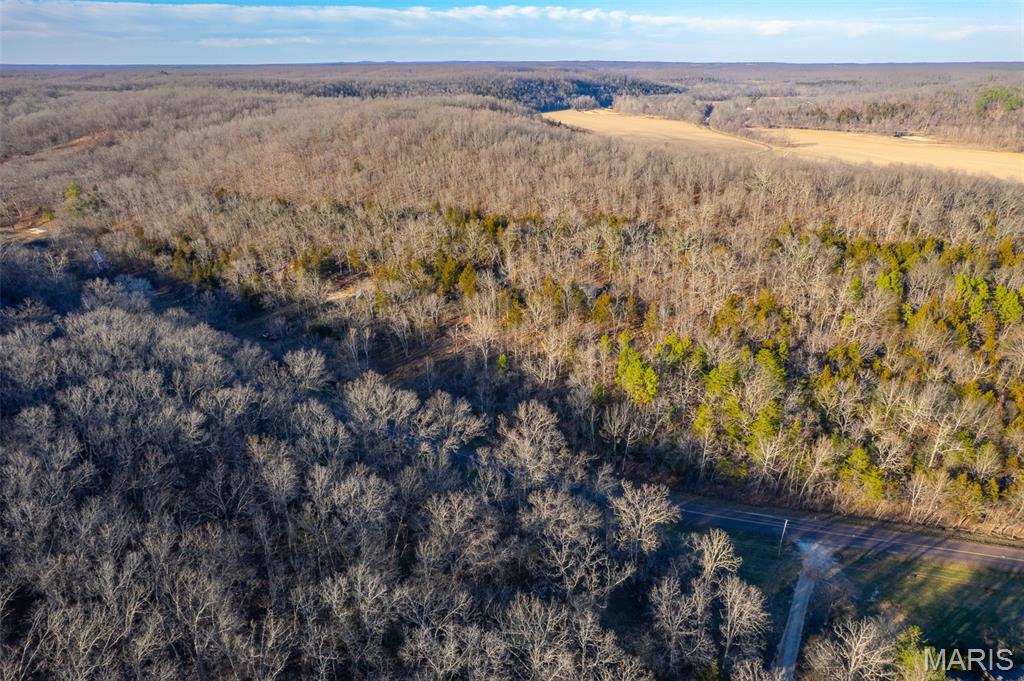 39 Highway Yy Cook Station Cook Sta, MO 65449 - Photo 20 of 22