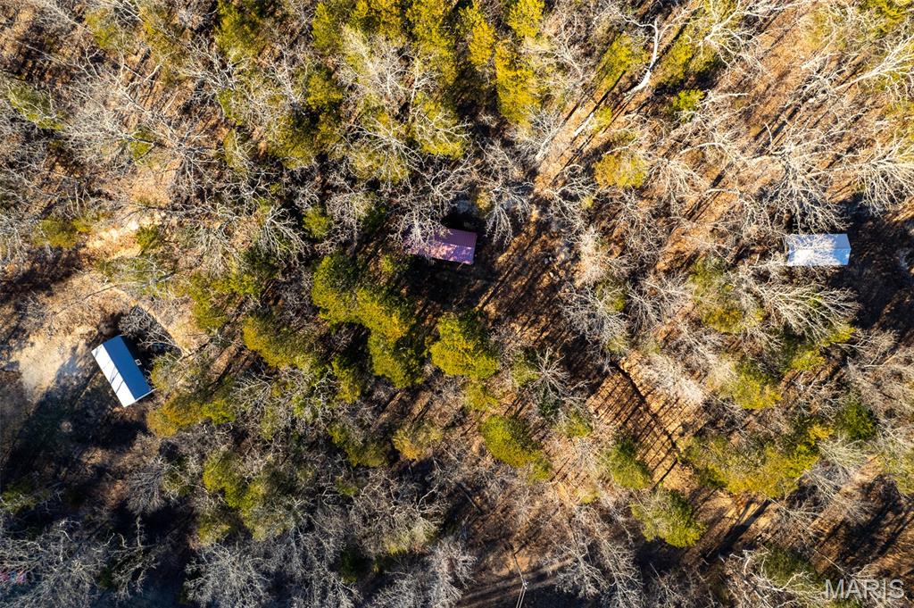 39 Highway Yy Cook Station Cook Sta, MO 65449 - Photo 8 of 22