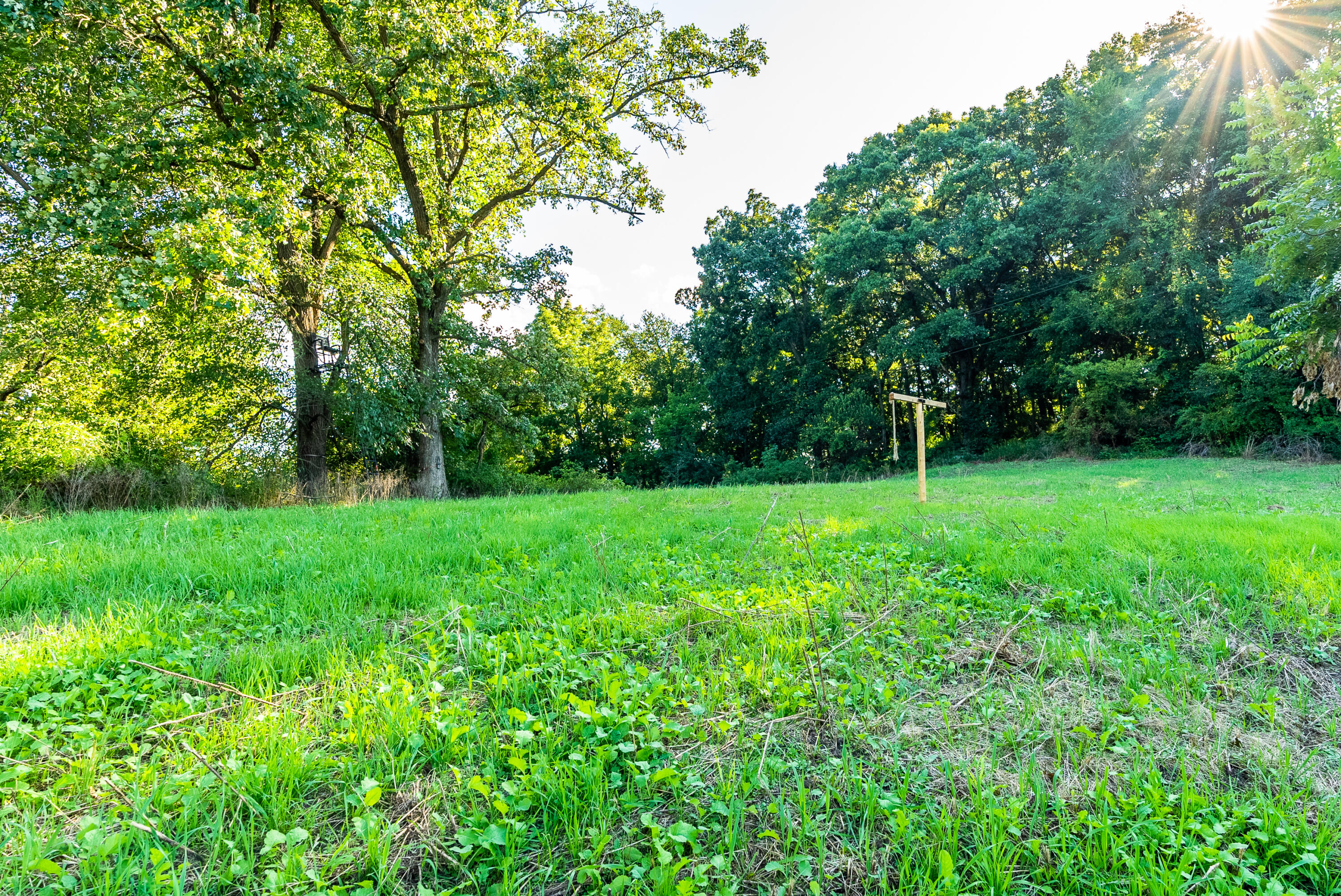 5292 Stenner Hill Road Marion, WI 53805 - Photo 18 of 69 Grant-County-WI-155-Acres-Land-For-Sale-