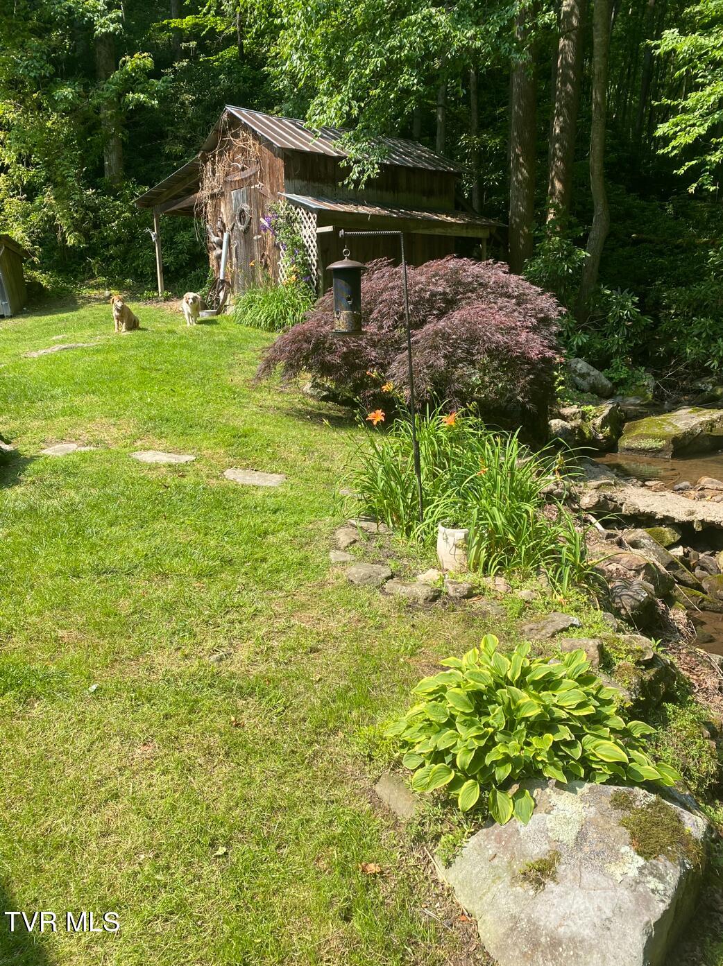 556 Racking Rock Road Clintwood, VA 24228 - Photo 30 of 56 10119