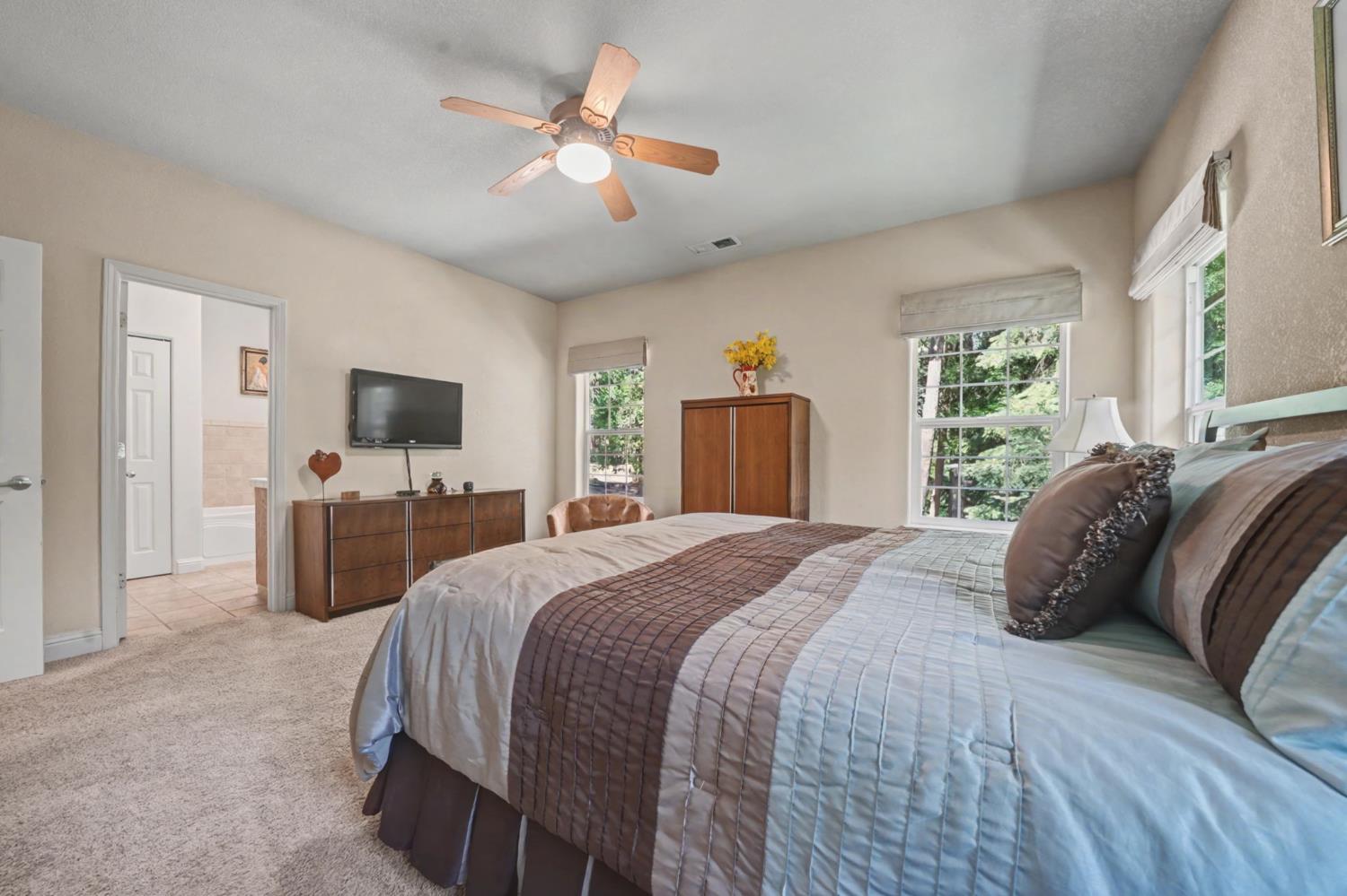 16111 Pioneer Creek Road Pioneer, CA 95666 - Photo 28 of 59 a bedroom with a bed a window and a flat screen television