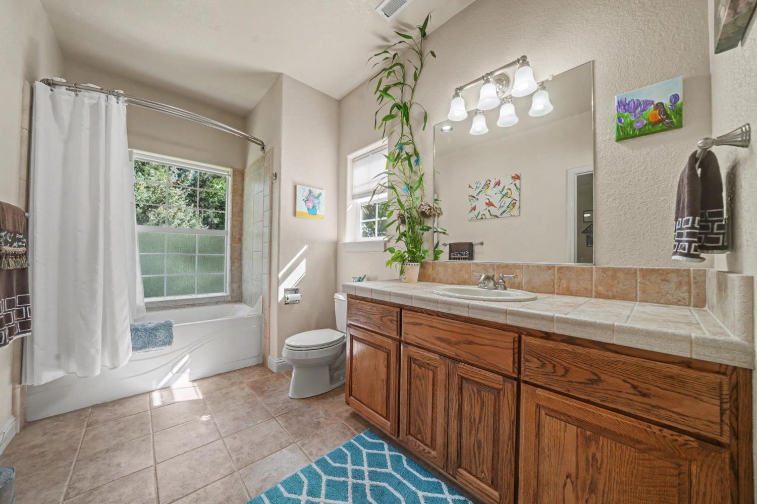 16111 Pioneer Creek Road Pioneer, CA 95666 - Photo 30 of 59 a bathroom with a granite countertop sink a large mirror a vanity and a toilet
