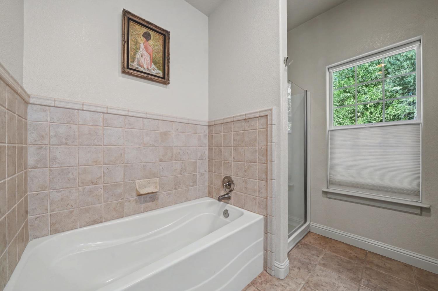 16111 Pioneer Creek Road Pioneer, CA 95666 - Photo 35 of 59 a bathroom with a bathtub