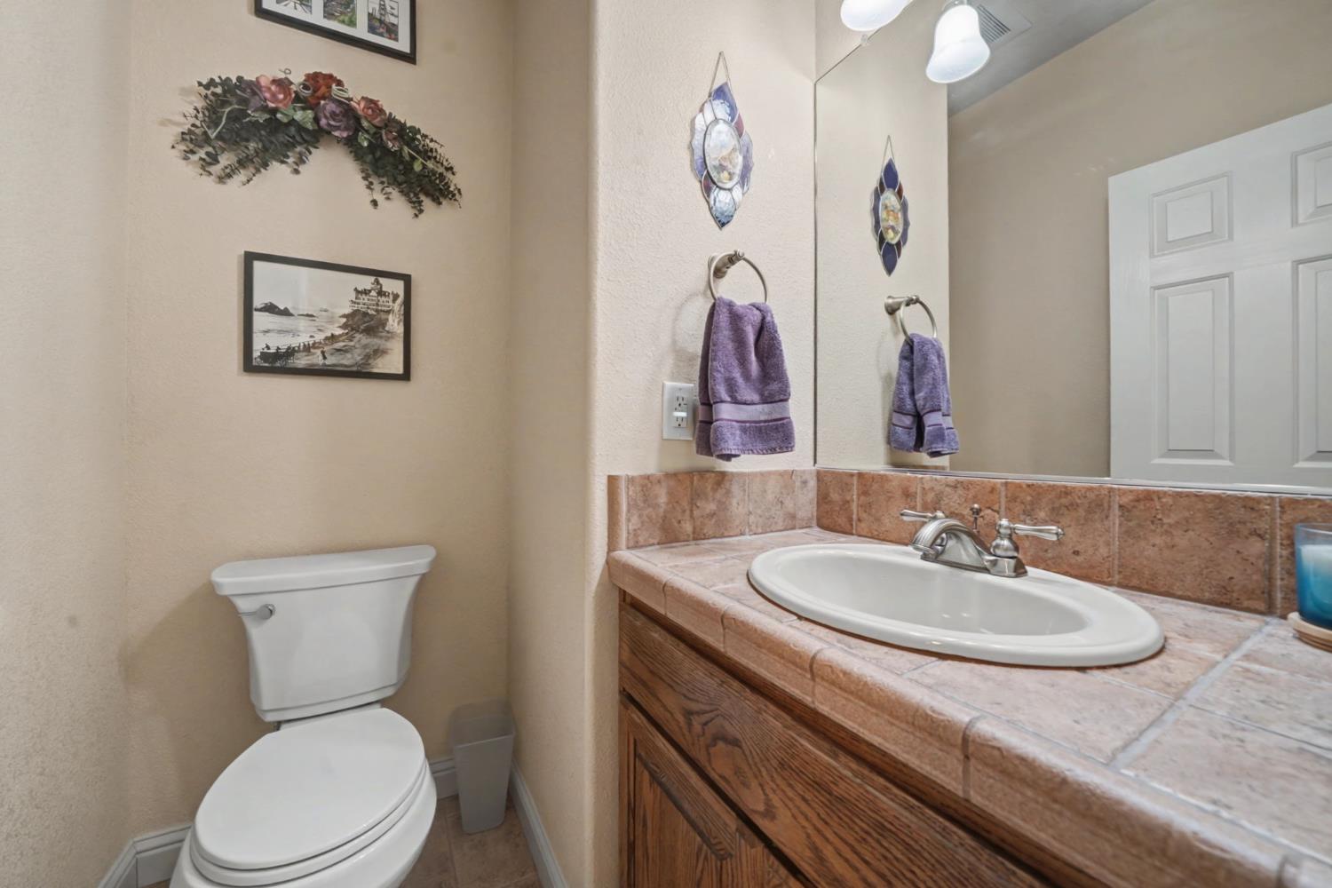 16111 Pioneer Creek Road Pioneer, CA 95666 - Photo 38 of 59 a bathroom with a sink and a toilet