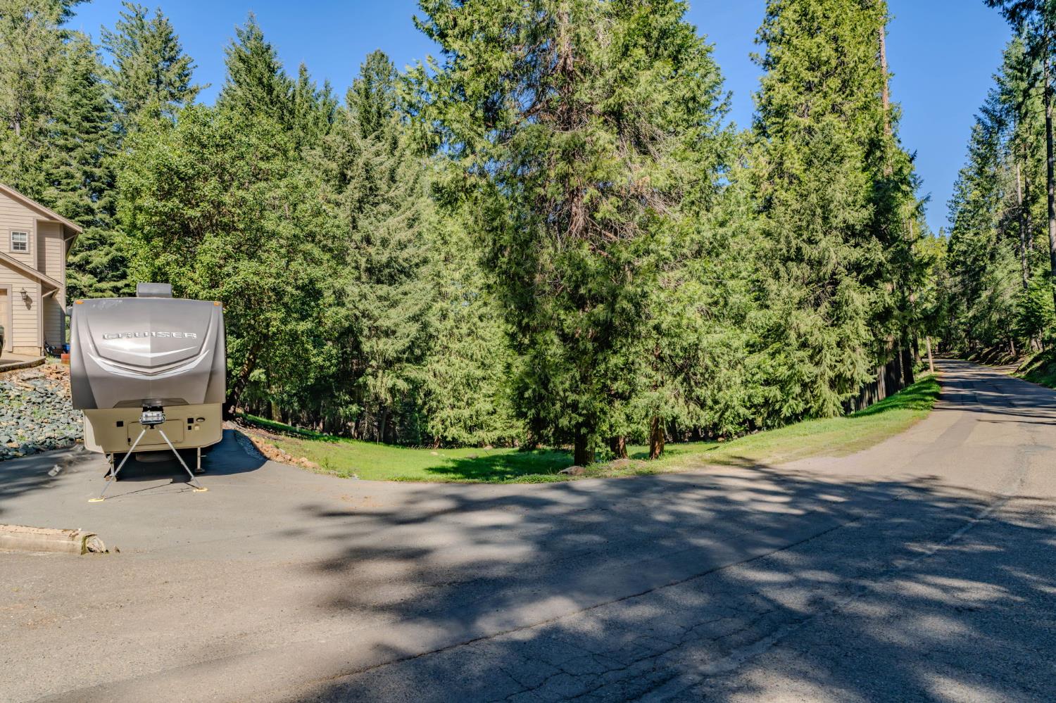 16111 Pioneer Creek Road Pioneer, CA 95666 - Photo 53 of 59 a view of a backyard with plants and trees