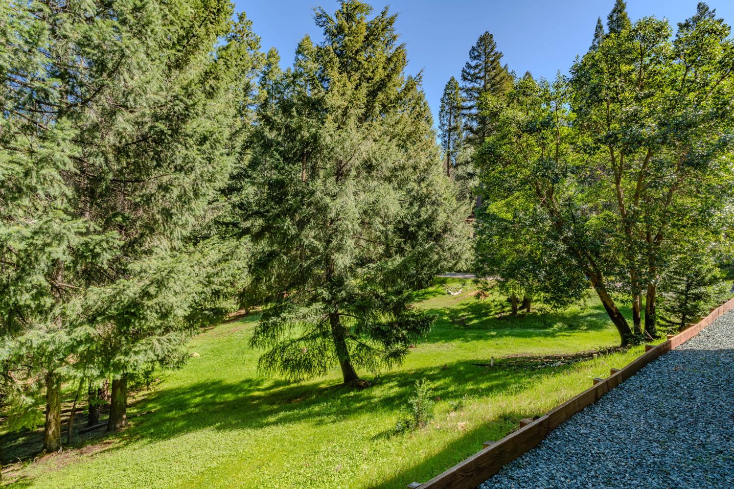 16111 Pioneer Creek Road Pioneer, CA 95666 - Photo 55 of 59 a view of an outdoor space with a lake view