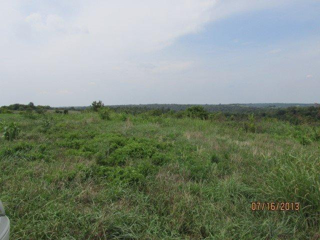 5 High Bridge Road Wilmore, KY 40390 - Photo 3 of 4 Photo 3