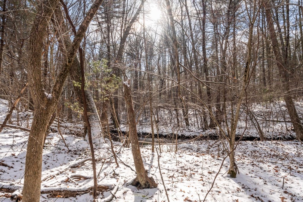 13 Jonathans Way Upton, MA 01568 - Photo 33 of 36 a view of covered with snow