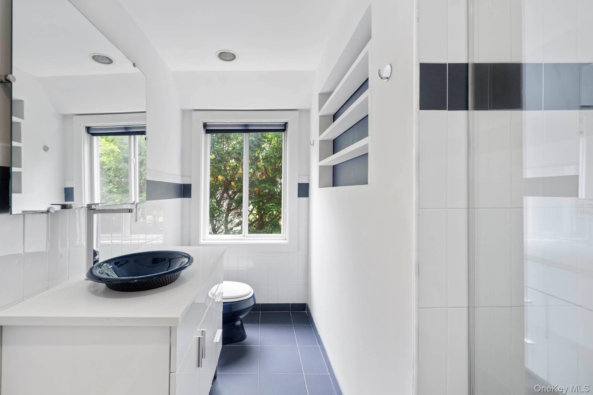 800 West 231st Street Bronx, NY 10463 - Photo 20 of 36 a bathroom with a toilet a sink a window and a potted plant