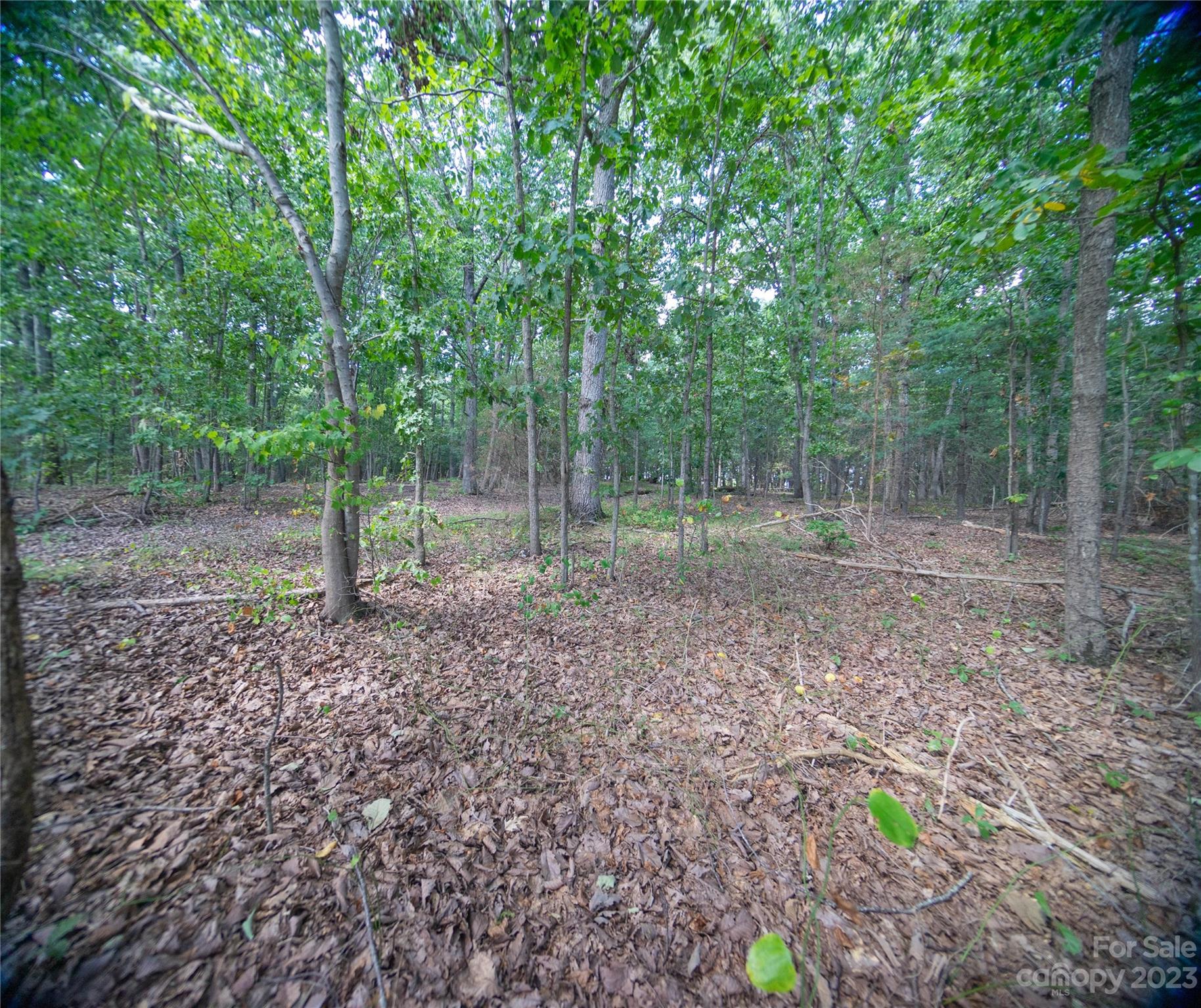 0 Redmon Road Harmony, NC 28634 - Photo 7 of 11 Gallery Image 7