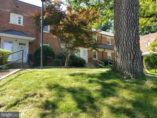a view of a house with a yard and plants