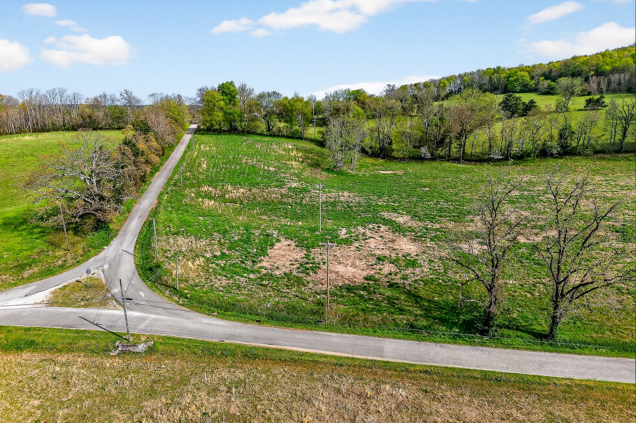 0 Joppa Road Walling, TN 38587 - Photo 3 of 5