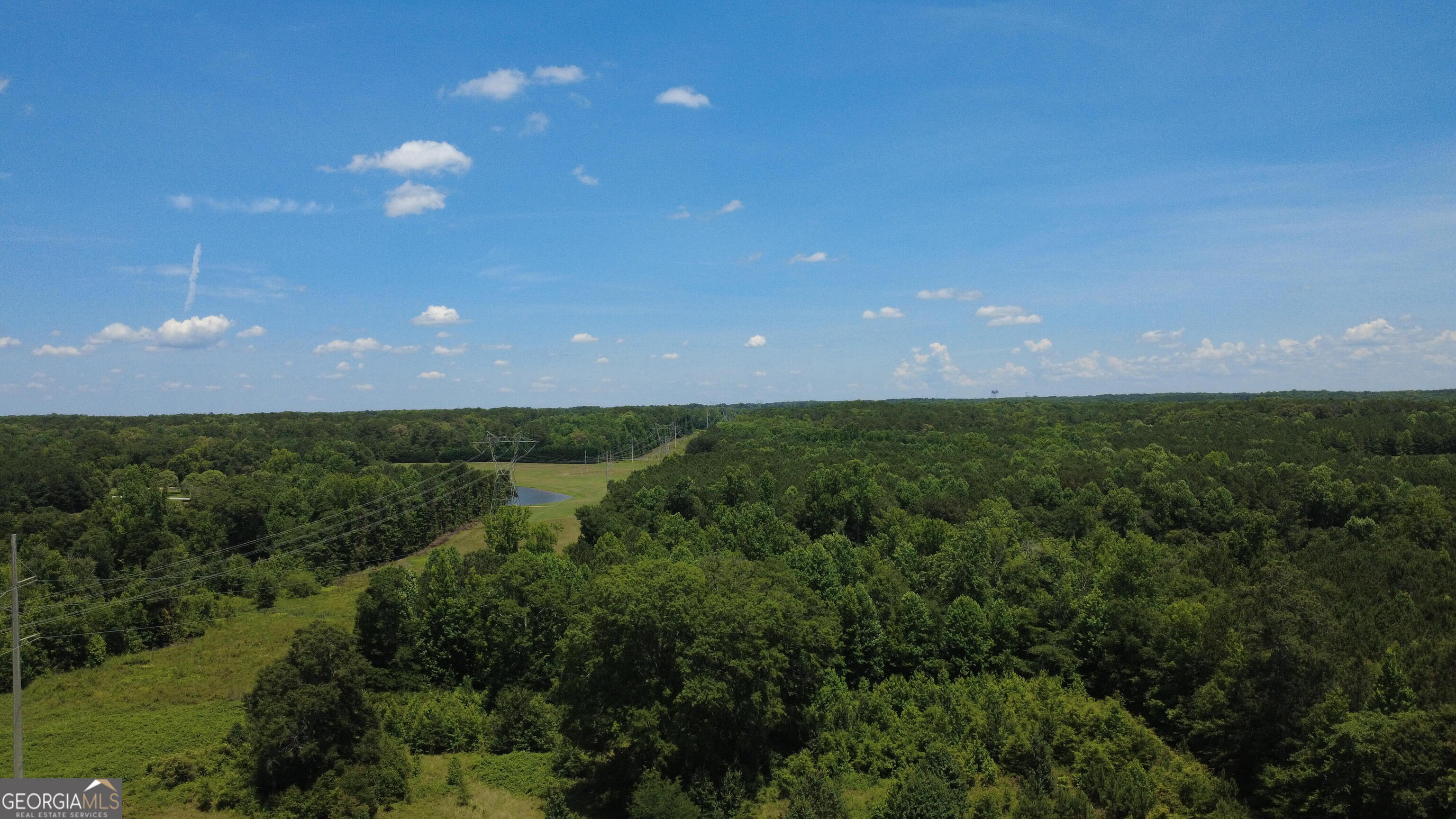 676 Linch Road Senoia, GA 30276 - Photo 10 of 35