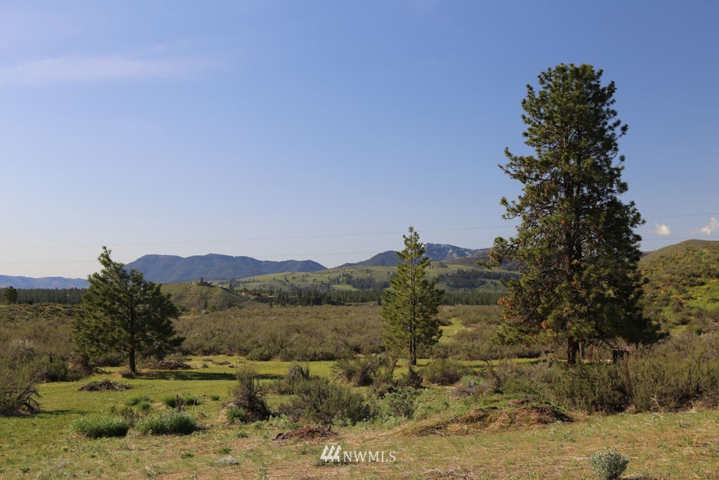 -tbd West Chewuch Road North Winthrop, WA 98862 - Photo 1 of 34 Gallery Image 1