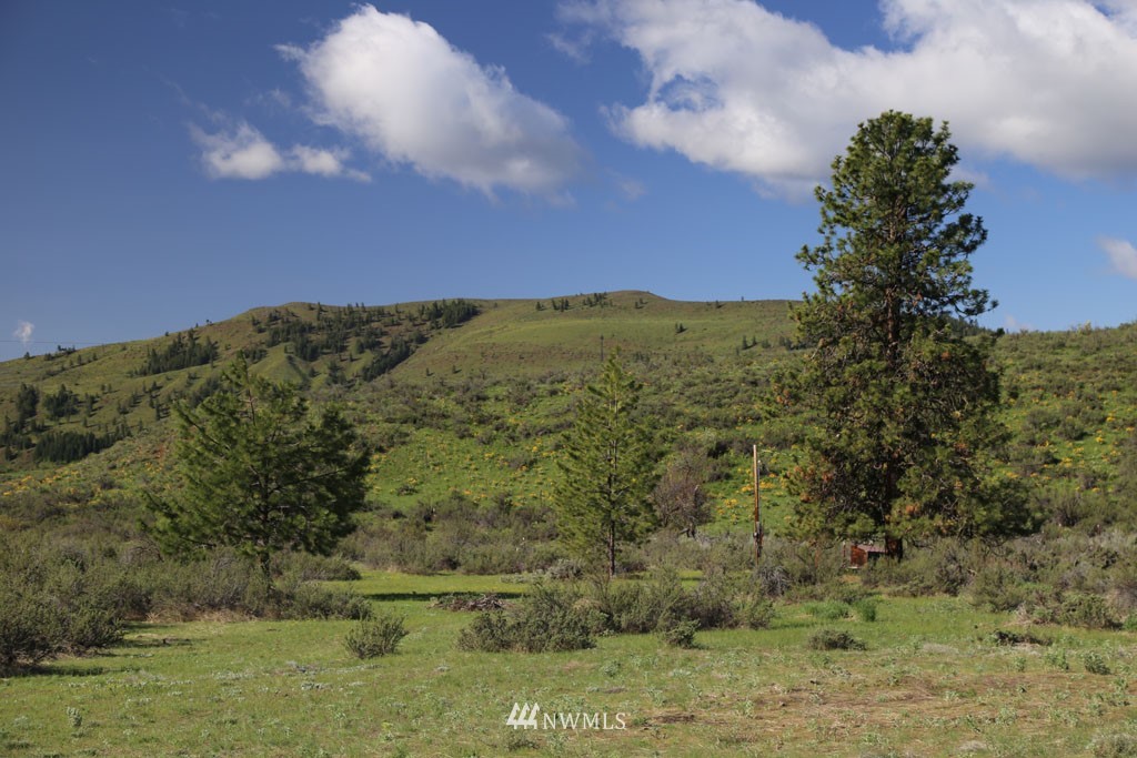 -tbd West Chewuch Road North Winthrop, WA 98862 - Photo 2 of 34 Gallery Image 2