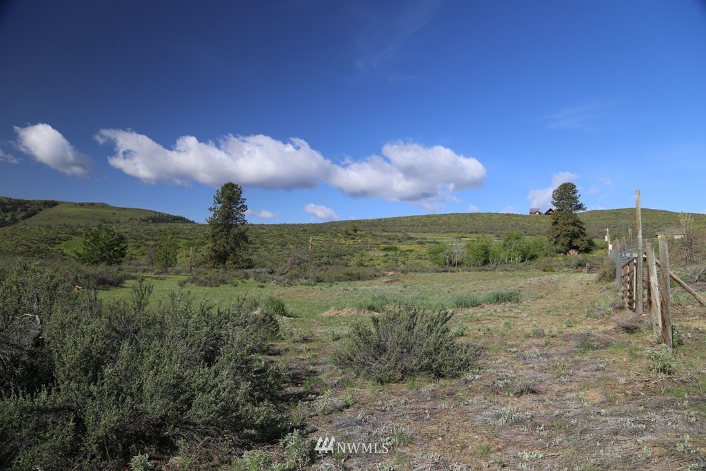 -tbd West Chewuch Road North Winthrop, WA 98862 - Photo 11 of 34 Gallery Image 11