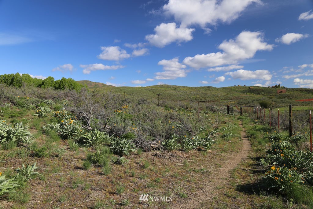 -tbd West Chewuch Road North Winthrop, WA 98862 - Photo 15 of 34 Gallery Image 15