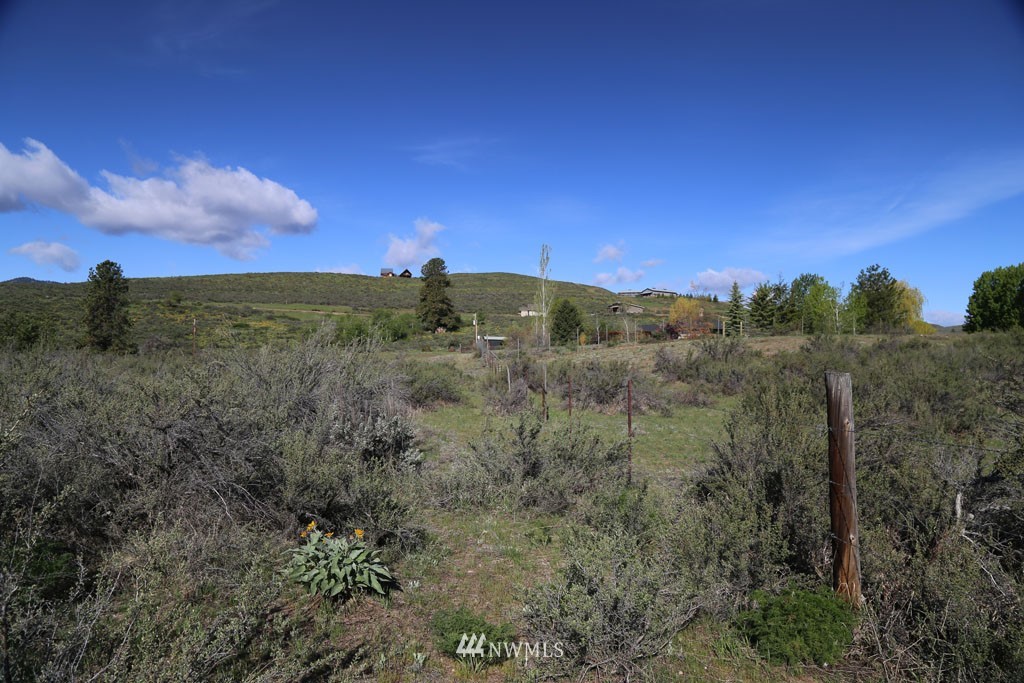 -tbd West Chewuch Road North Winthrop, WA 98862 - Photo 17 of 34 Gallery Image 17