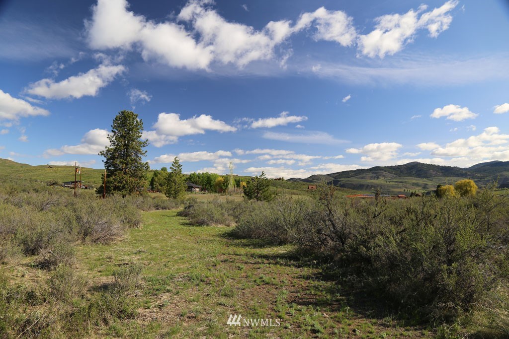 -tbd West Chewuch Road North Winthrop, WA 98862 - Photo 19 of 34 Gallery Image 19