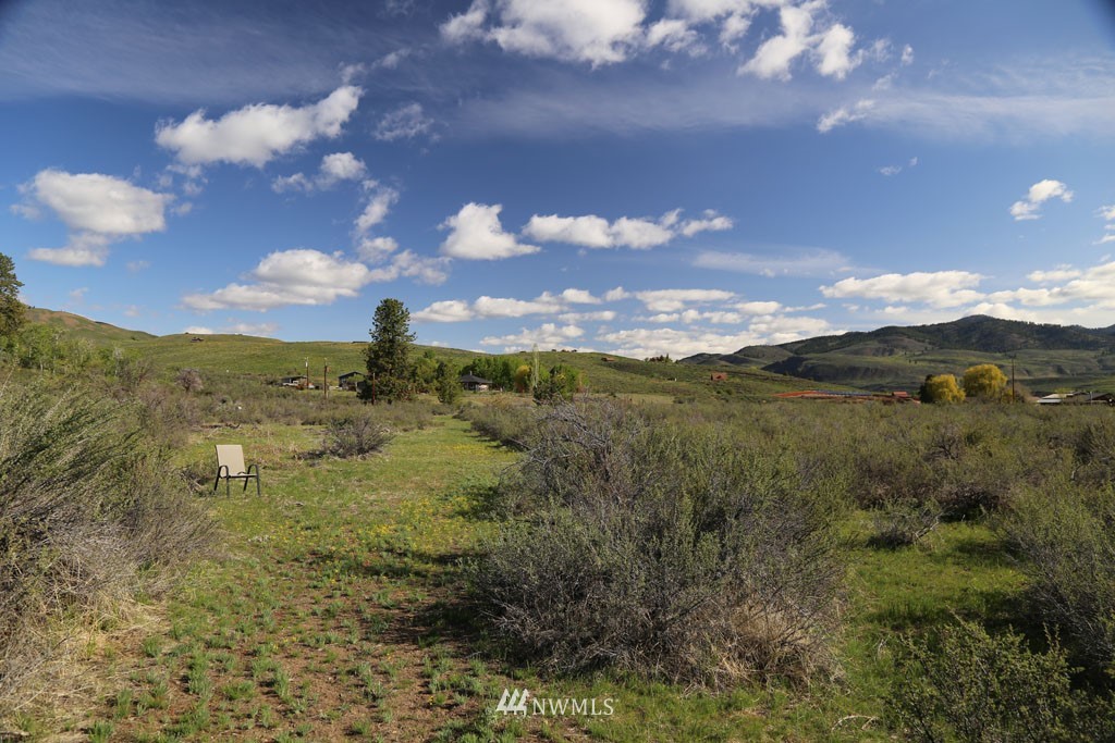 -tbd West Chewuch Road North Winthrop, WA 98862 - Photo 21 of 34 Gallery Image 21